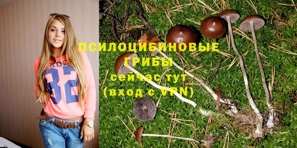 мескалин Верхний Тагил
